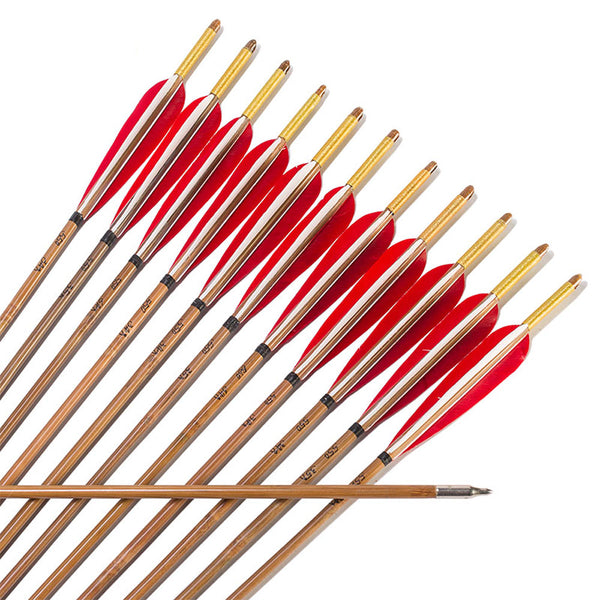 12x Featured Bamboo arrows